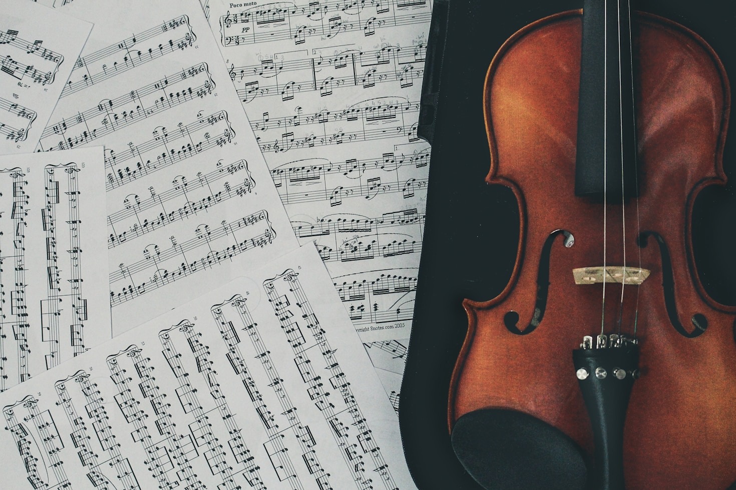 The Ultimate Guide to Curating Your Music Wardrobe